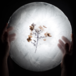 TFM und andere Methoden in Harmonie