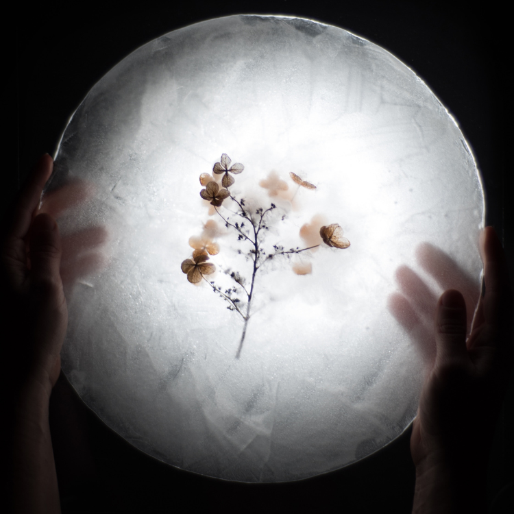 TFM und andere Methoden in Harmonie