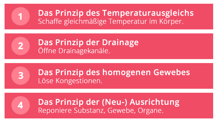 Die vier Prinzipien liegen allen TFM-Behandlungen zugrunde.